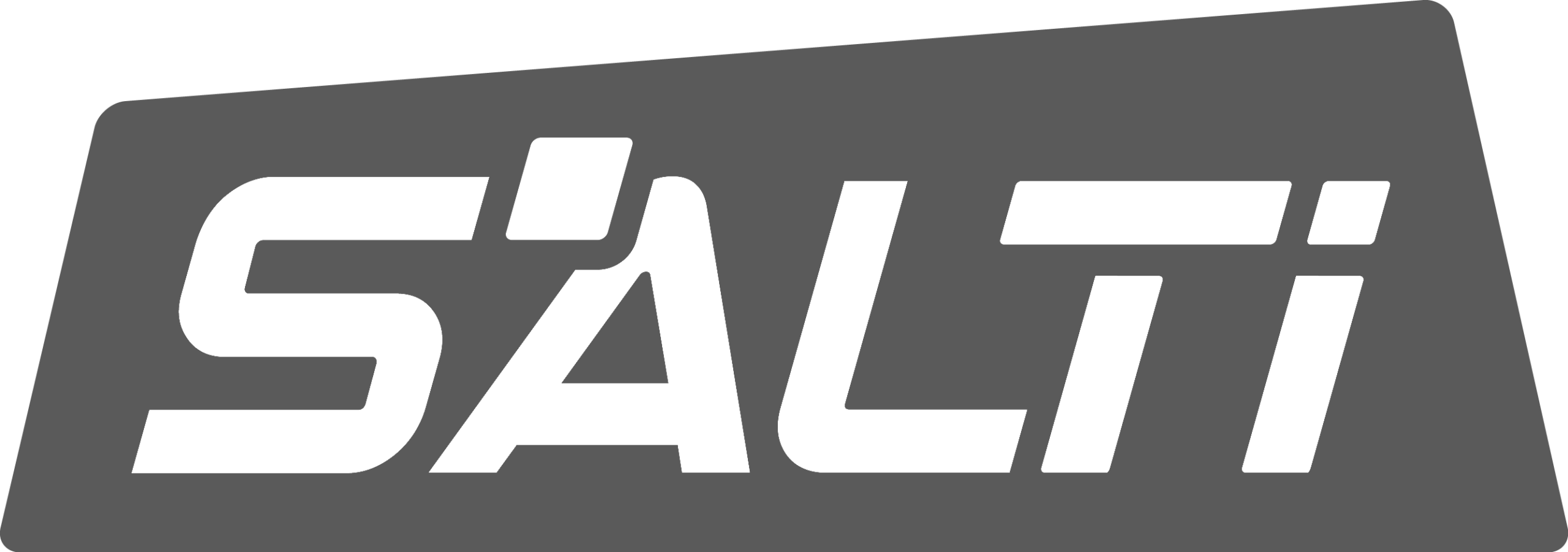 LOGO-SALTI-sans-baseline-41